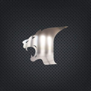 FFD115 FORD İÇİN KAPI KOLU ETRAFI KROMU CARGO