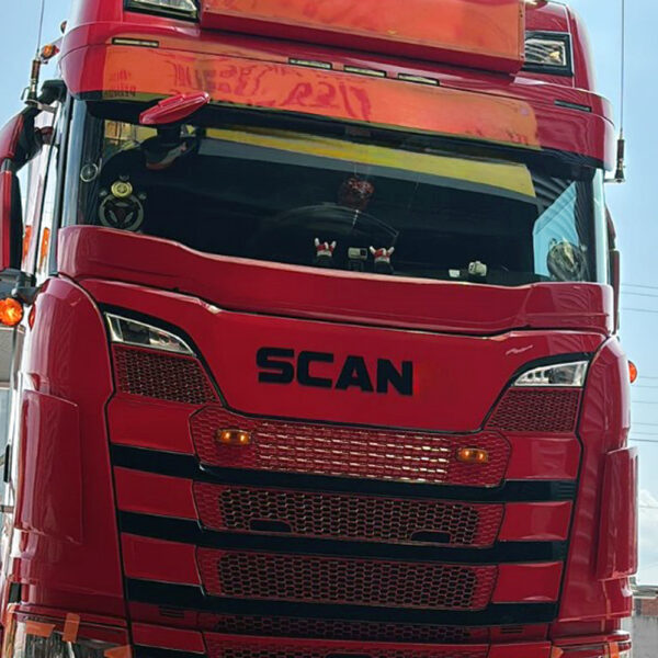 FPSC221 SCANIA NG SC S/R İÇİN SİNEKLİK